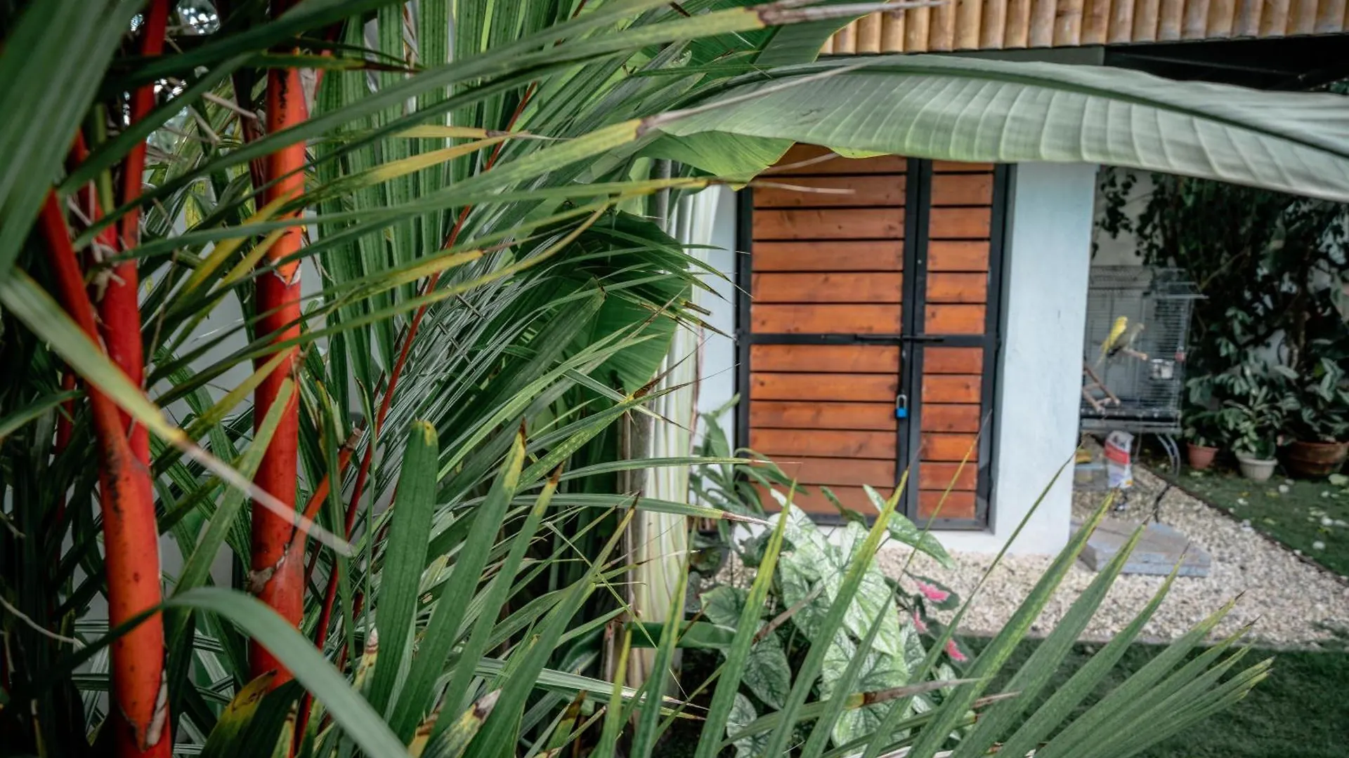 Villa Tana Mysterious Garden Panglao 0*,  Philippinen