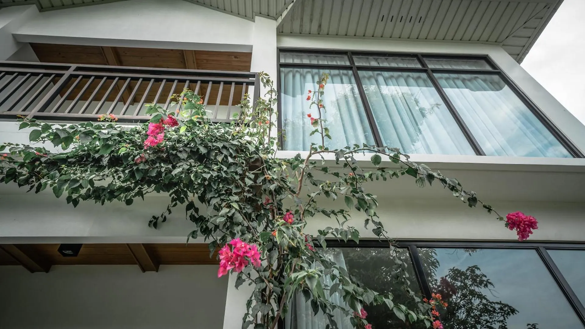 Villa Tana Mysterious Garden Panglao Ferienhaus
