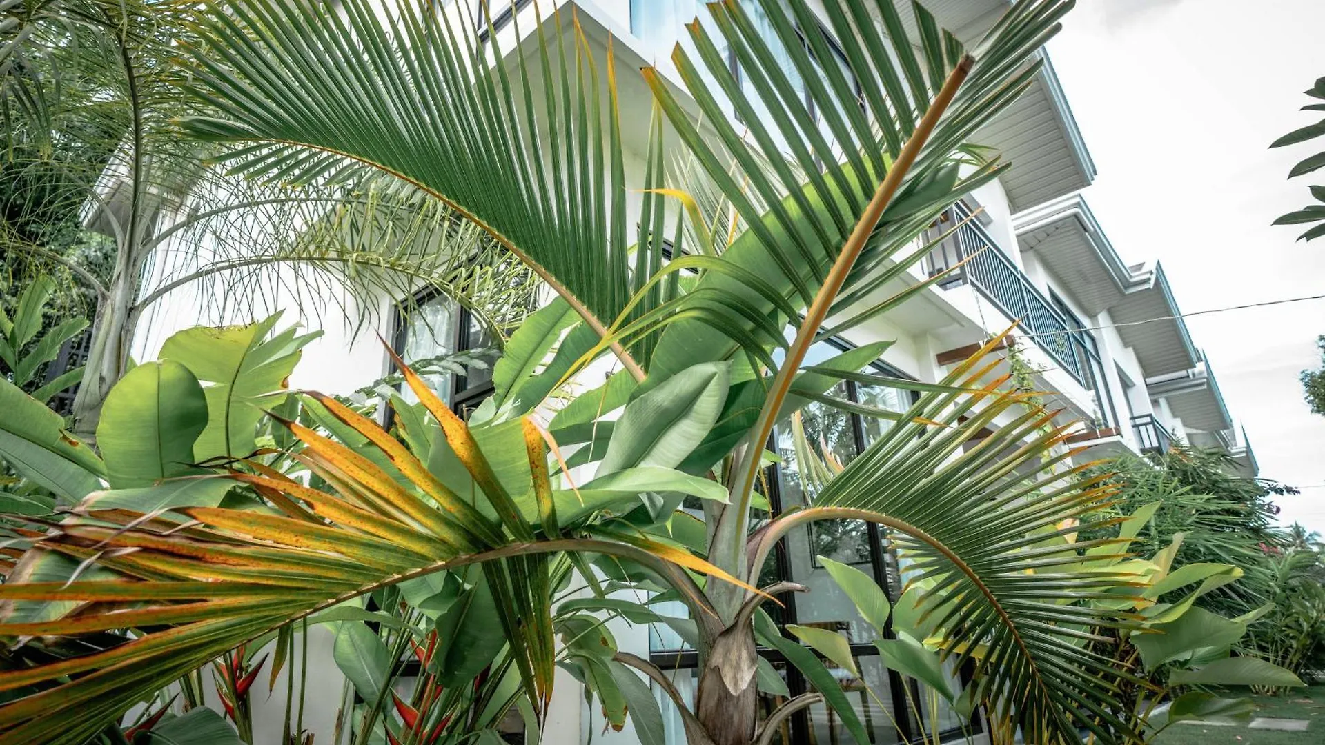 Вилла Tana Mysterious Garden Панглао