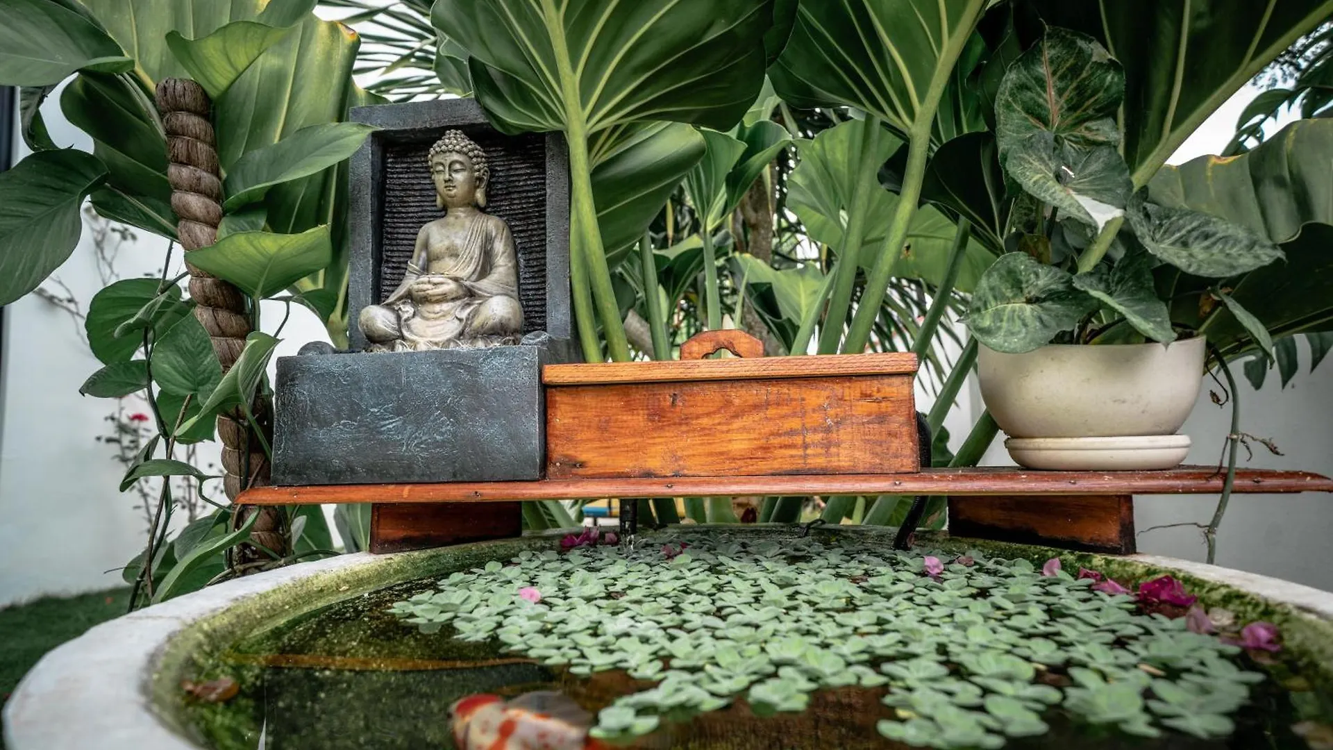 Вилла Tana Mysterious Garden Панглао Дом отдыха