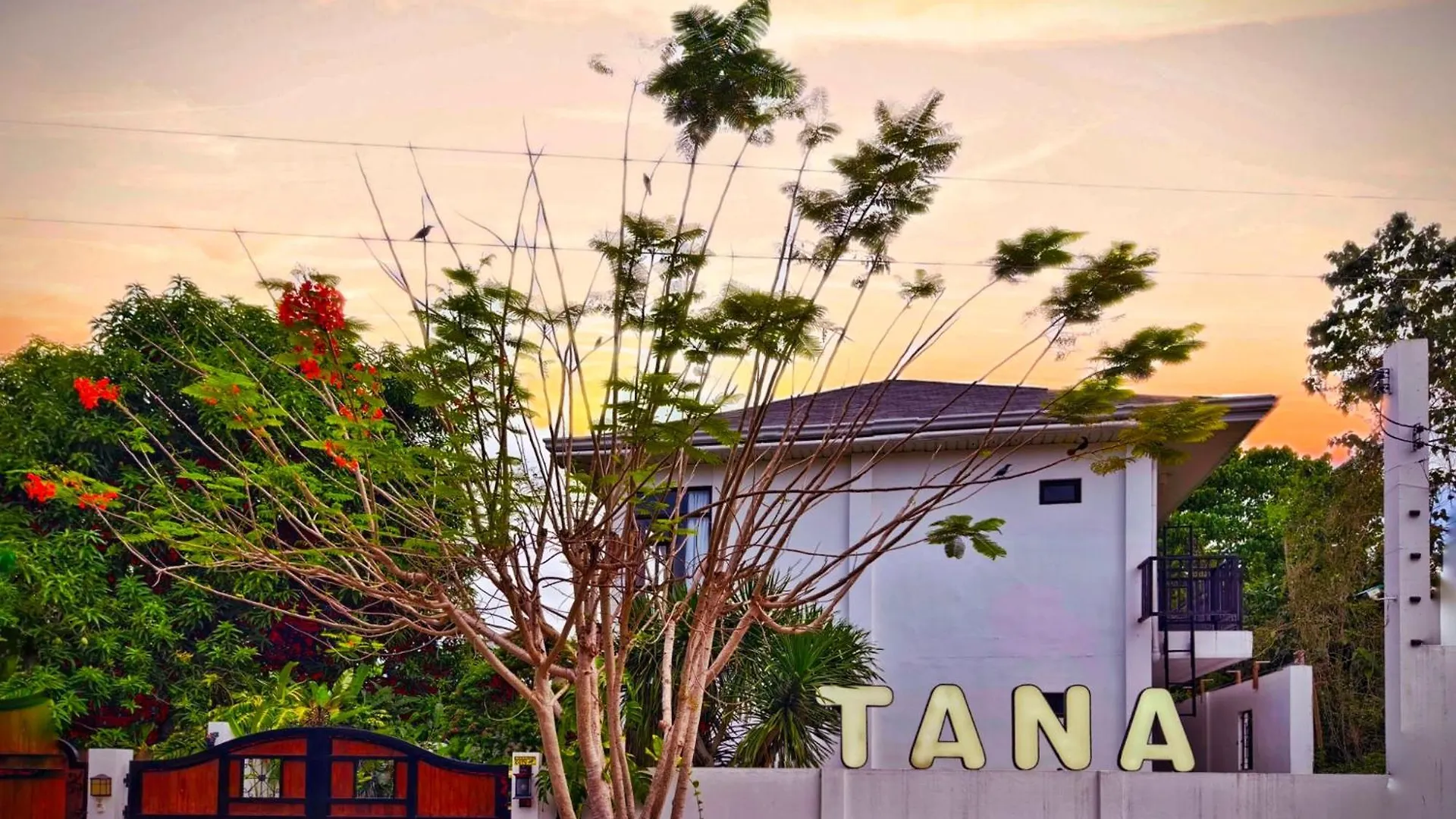 Вилла Tana Mysterious Garden Панглао
