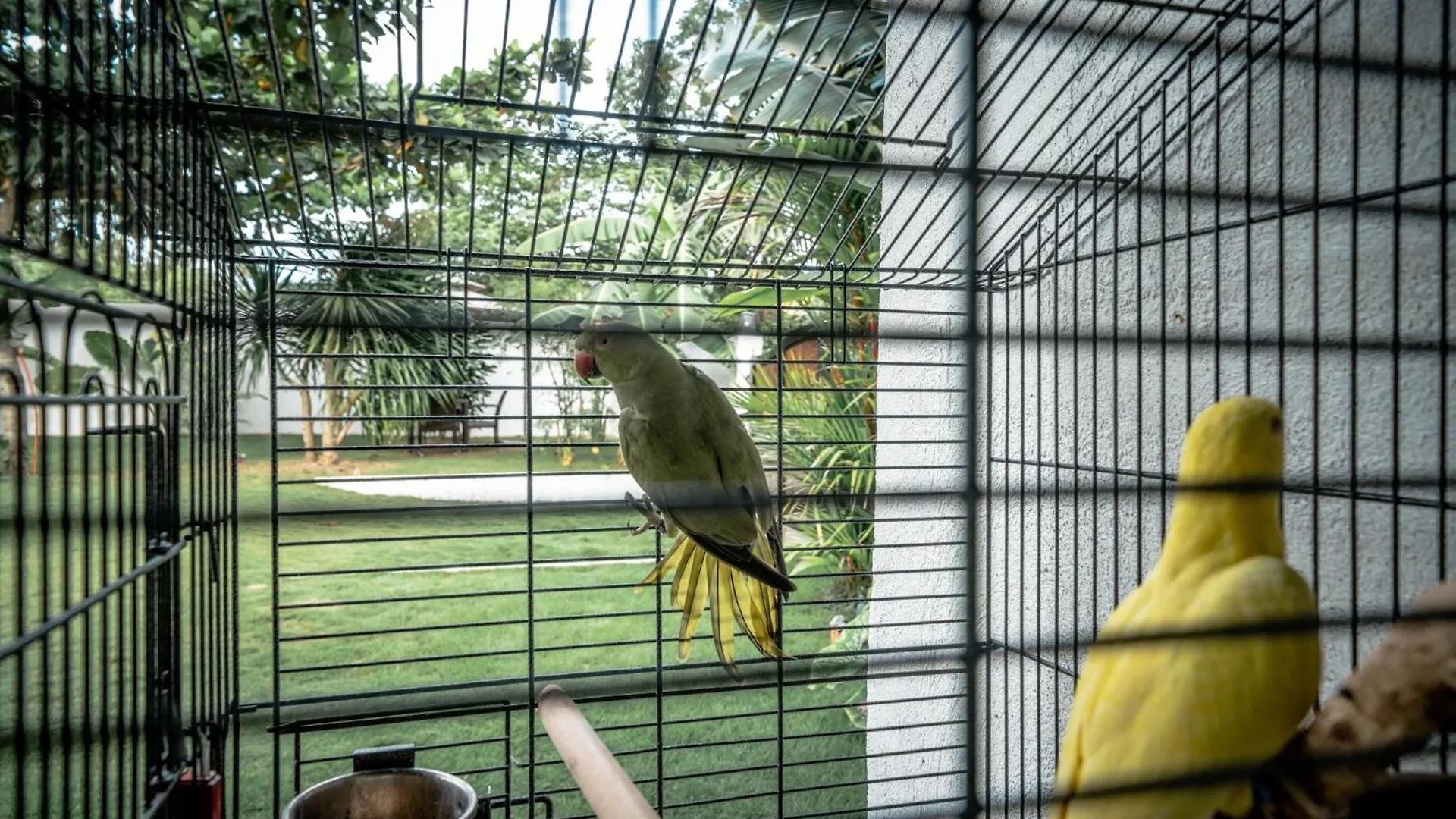 Prázdninový dům Vila Tana Mysterious Garden Panglao Filipíny