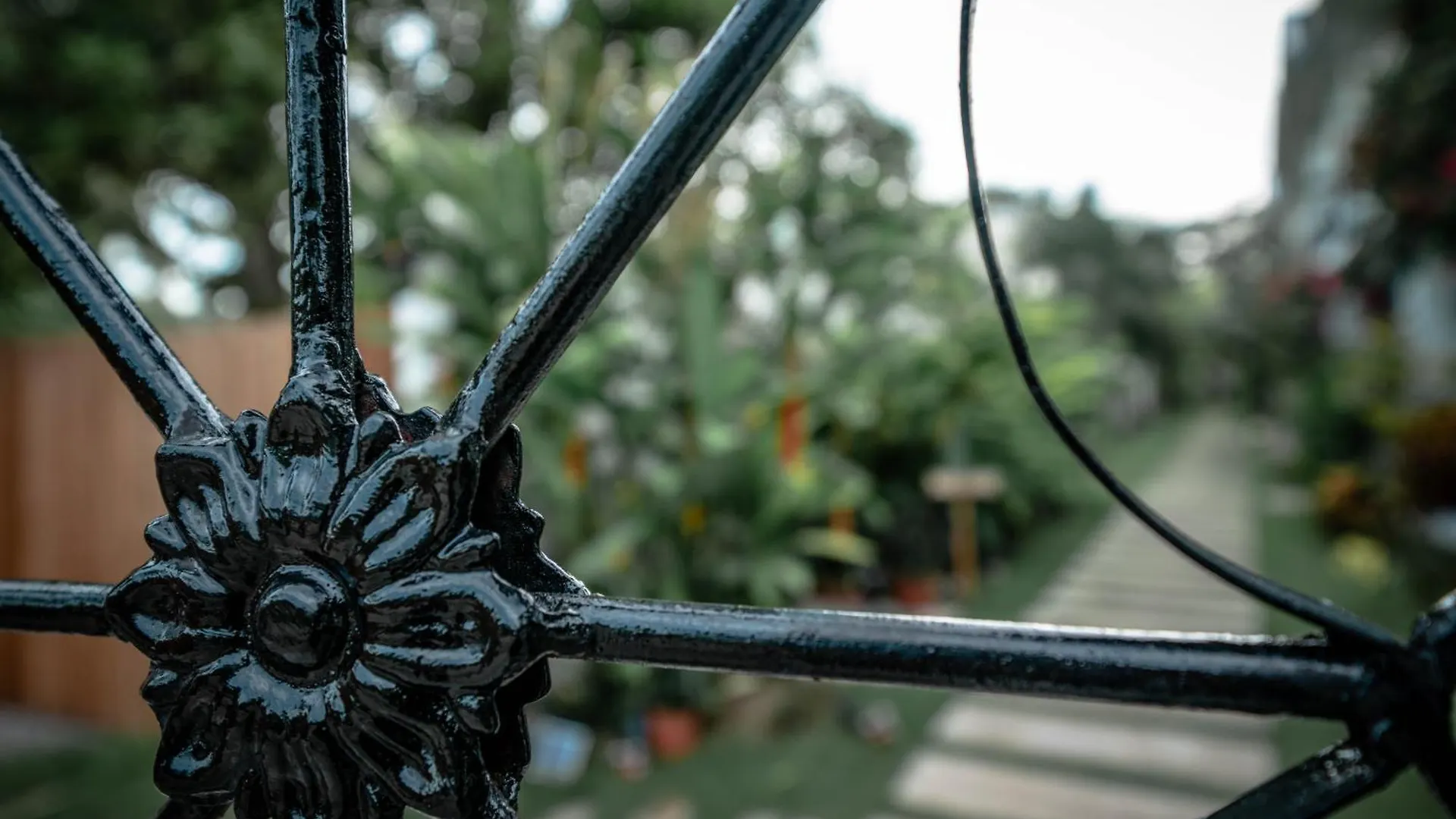 Vila Tana Mysterious Garden Panglao Filipíny